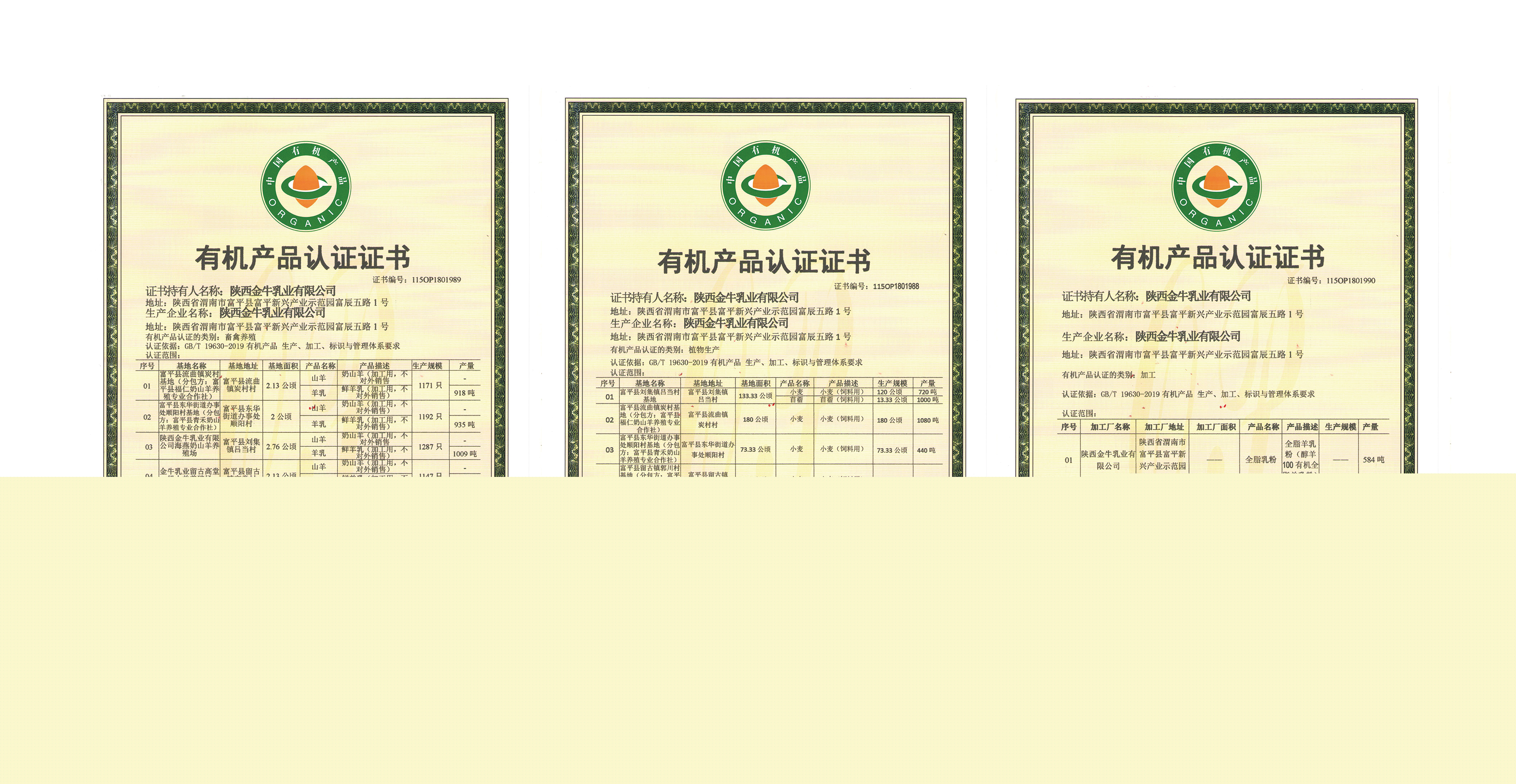 3-201020134P93K.jpg